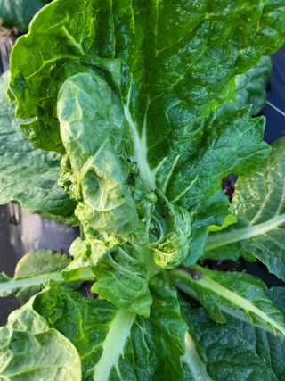 박해익님의 자유주제 · 자유게시판 작성글 사진