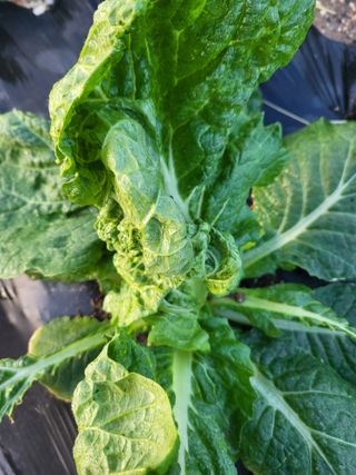 박해익님의 자유주제 · 자유게시판 작성글 사진