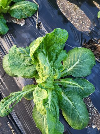 박해익님의 자유주제 · 자유게시판 작성글 사진