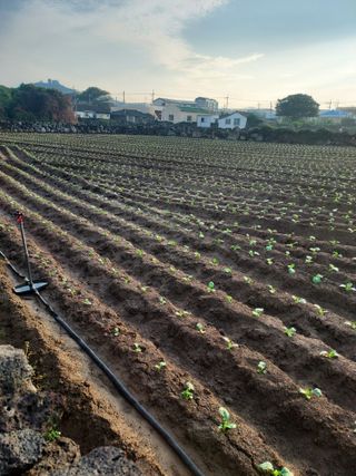 나는멋쟁이님의 자유주제 · 자유게시판 작성글 사진