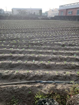 나는멋쟁이님의 자유주제 · 자유게시판 작성글 사진