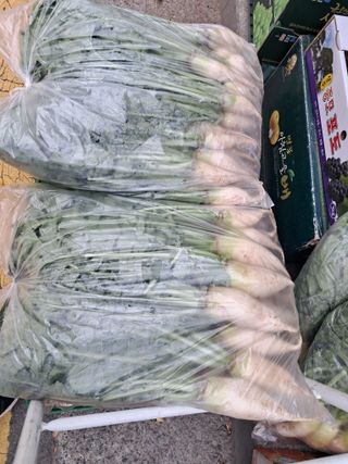 김기한님의 양배추 · 영농일지 작성글 사진