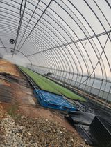 팜모닝 양파·영농일지 게시글 이미지