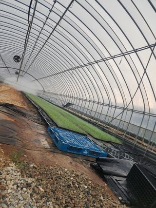 김기연님의 양파 · 영농일지 작성글 사진