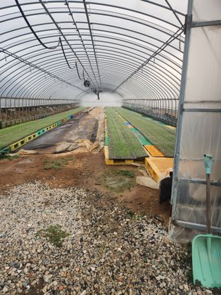 김기연님의 양파 · 영농일지 작성글 사진