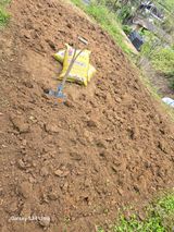 팜모닝 상추·영농일지 게시글 이미지