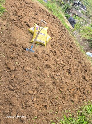 청계닭님의 상추 · 영농일지 작성글 사진