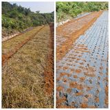 팜모닝 마늘·영농일지 게시글 이미지