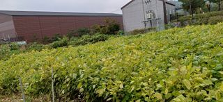 산골마님님의 자유주제 · 자유게시판 작성글 사진