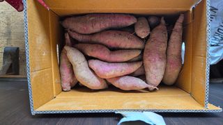 15078정영애님의 🍠고구마 농협 수매가 아시나요? · 참여글 작성글 사진