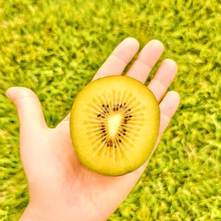 농부손녀님의 자유주제 · 자유게시판 작성글 사진