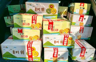 농부손녀님의 자유주제 · 자유게시판 작성글 사진