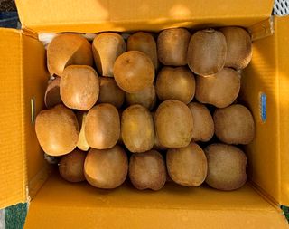 농부손녀님의 자유주제 · 자유게시판 작성글 사진