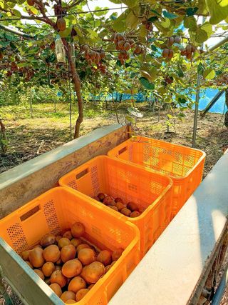 농부손녀님의 자유주제 · 자유게시판 작성글 사진