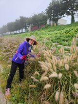 팜모닝 자유주제·자유게시판 게시글 이미지