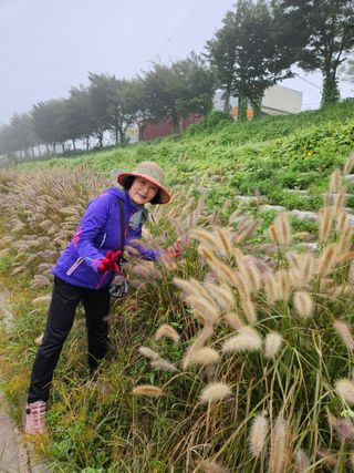 조정숙(1955)님의 자유주제 · 자유게시판 작성글 사진