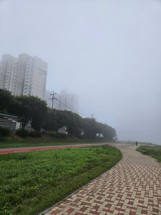 조정숙(1955)님의 자유주제 · 자유게시판 작성글 사진