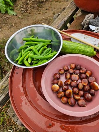 조정숙(1955)님의 자유주제 · 자유게시판 작성글 사진