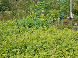 조정숙(1955)님의 자유주제 · 자유게시판 작성글 사진
