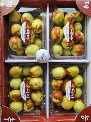 이동엽(양지팜)님의 기타작물 · 영농일지 작성글 사진