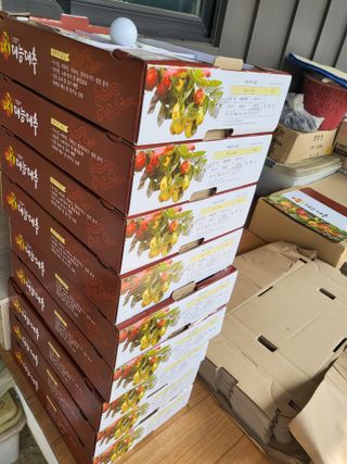 이동엽(양지팜)님의 기타작물 · 영농일지 작성글 사진