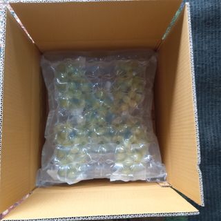 샤인머스켓0120님의 작성글 사진