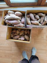 팜모닝 자유주제·자유게시판 게시글 이미지