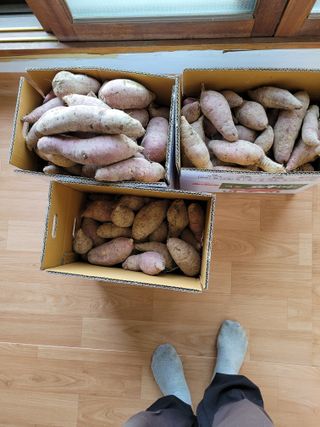 (어울림)님의 자유주제 · 자유게시판 작성글 사진