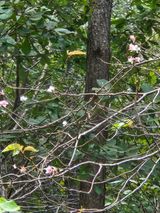 팜모닝 자유주제·자유게시판 게시글 이미지