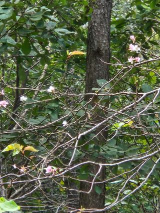 문충서님의 자유주제 · 자유게시판 작성글 사진