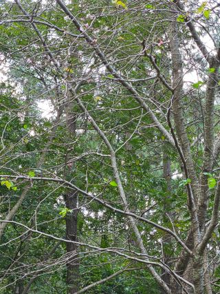 문충서님의 자유주제 · 자유게시판 작성글 사진