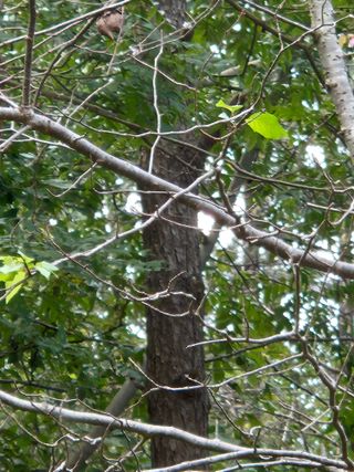 문충서님의 자유주제 · 자유게시판 작성글 사진