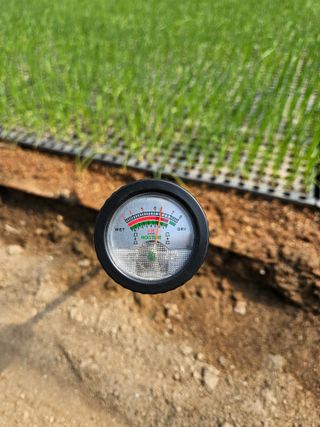 이재진님의 양파 · 자유게시판 작성글 사진