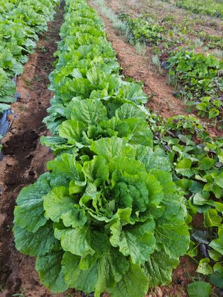 최선희님의 자유주제 · 자유게시판 작성글 사진