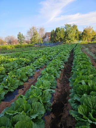 최선희님의 자유주제 · 자유게시판 작성글 사진