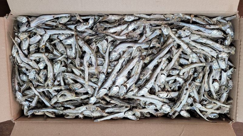 장터 상품 [대멸1.5kg(국물용,고추장용)] 썸네일