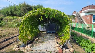 김중언님의 기타작물 · 영농일지 작성글 사진