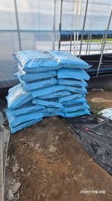 팜모닝 상추·영농일지 게시글 이미지