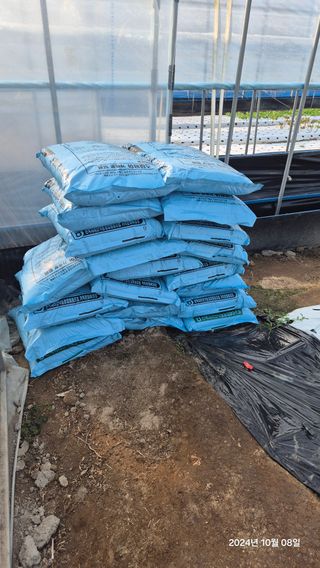 아침상추님의 상추 · 영농일지 작성글 사진