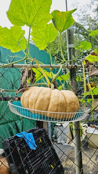 김호열님의 자유주제 · 자유게시판 작성글 사진