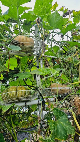 김호열님의 자유주제 · 자유게시판 작성글 사진