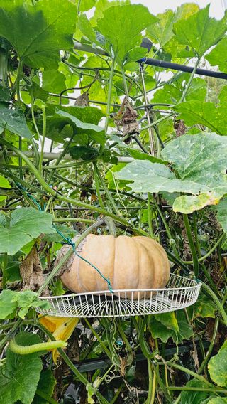 김호열님의 자유주제 · 자유게시판 작성글 사진