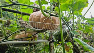 김호열님의 자유주제 · 자유게시판 작성글 사진
