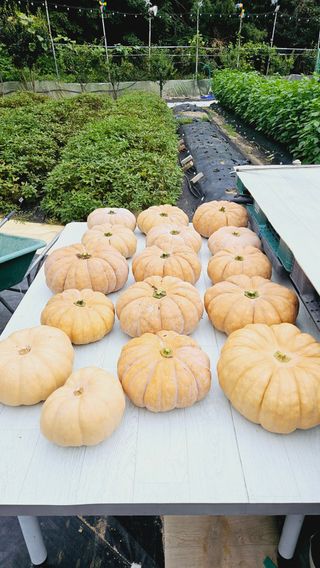 김호열님의 자유주제 · 자유게시판 작성글 사진