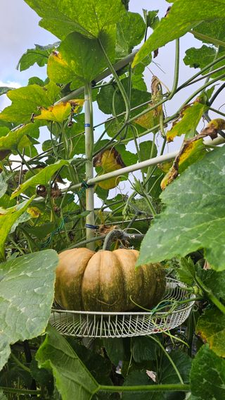 김호열님의 자유주제 · 자유게시판 작성글 사진
