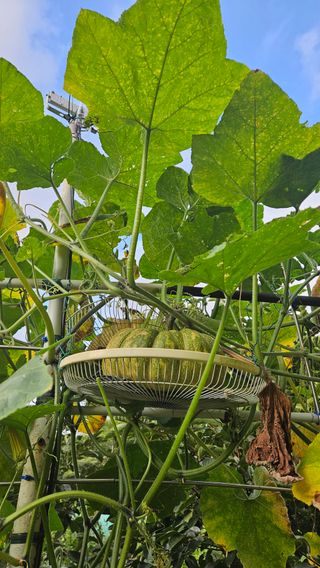 김호열님의 자유주제 · 자유게시판 작성글 사진