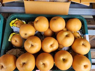 ok 체험학습농원님의 자유주제 · 자유게시판 작성글 사진