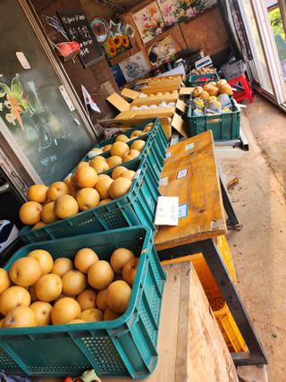 ok 체험학습농원님의 자유주제 · 자유게시판 작성글 사진