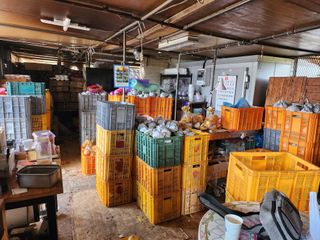 ok 체험학습농원님의 자유주제 · 자유게시판 작성글 사진