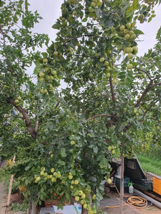 차상철님의 자유주제 · 자유게시판 작성글 사진